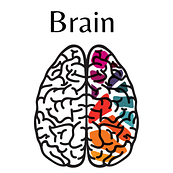 Brain Brain on Fear