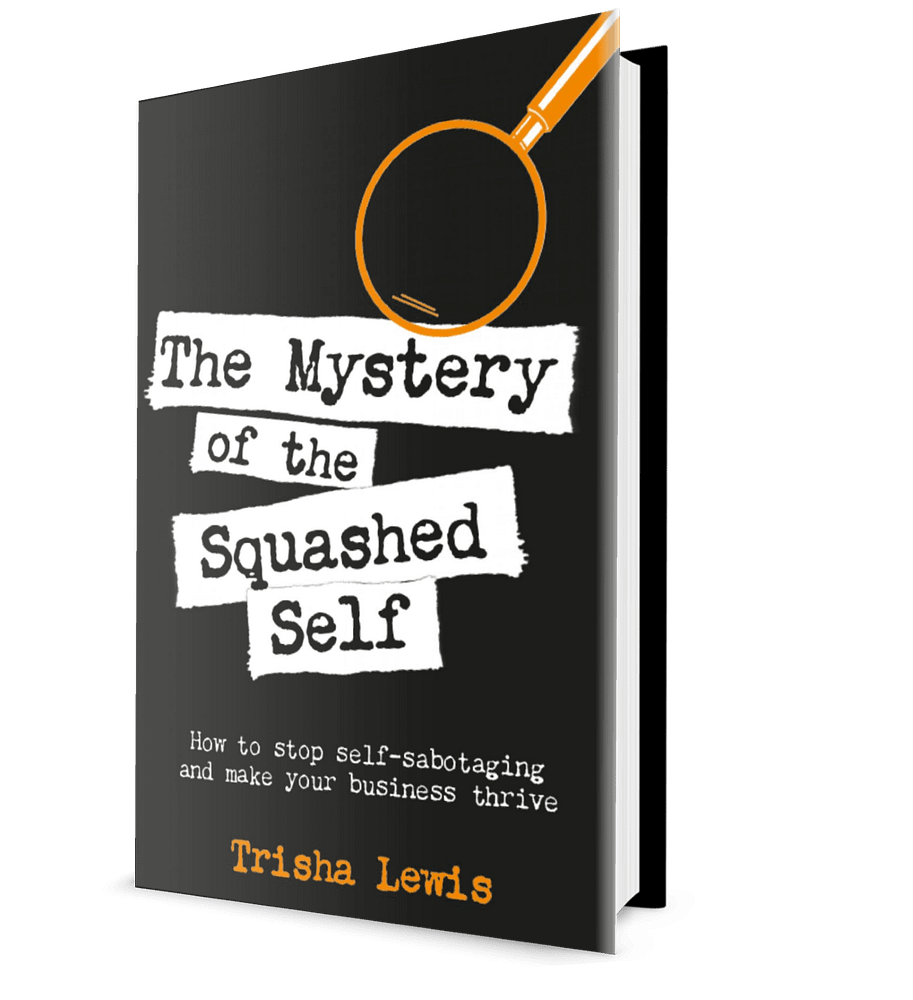 The Mystery of the Squashed Self Book Cover